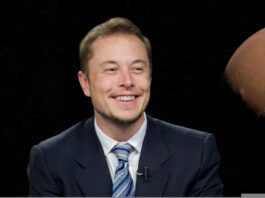 Musk chce zmienić system nadzoru amerykańskich instytucji finansowych
