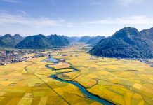 Susza niszczy jeden z najbardziej urodzajnych regionów Chin i uderza w energetykę