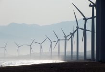 20 mld dolarów na energetykę wiatrową