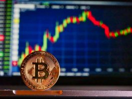 Bitcoin w nowym cyklu halvingowym?