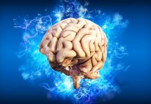 Terapie na chorobę Alzheimera coraz bliżej