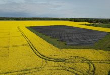 Sunly ma ponad 1,2 mld zł na infrastrukturę OZE w Polsce i krajach bałtyckich