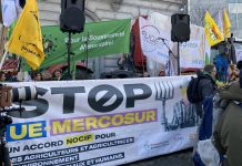Analiza ISBiznes.pl: UE-Mercosur – umowa zawarta, ale czy będzie ratyfikowana?